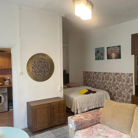 Frendlen Metsa Apartment *